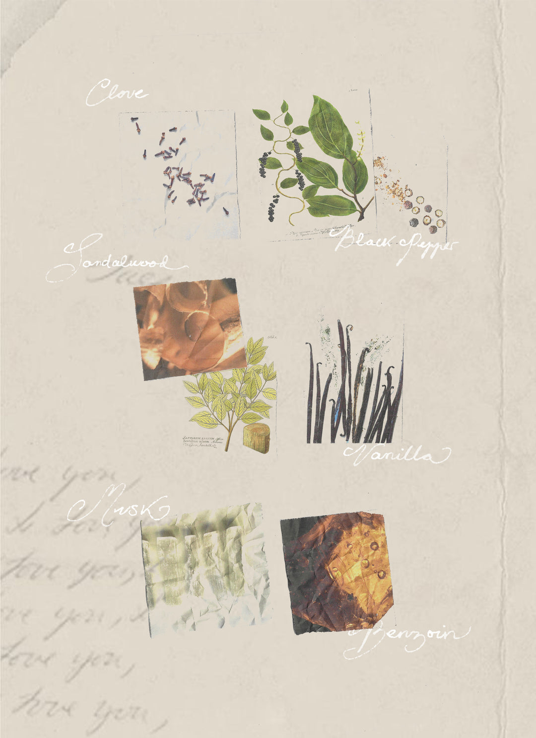 Valerium - Huile Parfumée